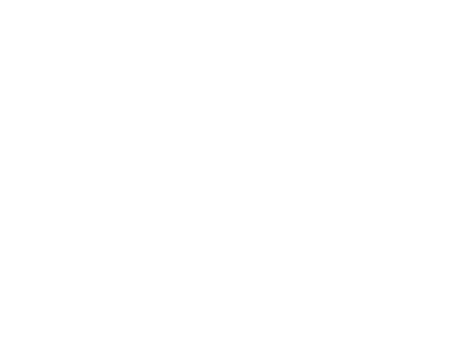 Adamo